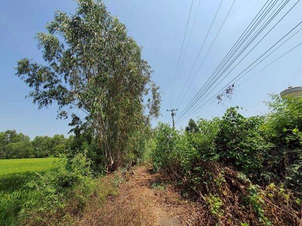 R027-12 ขายต่ำกว่าประเมิน ที่ดินอยุธยา 8-3-53 ไร่ 6