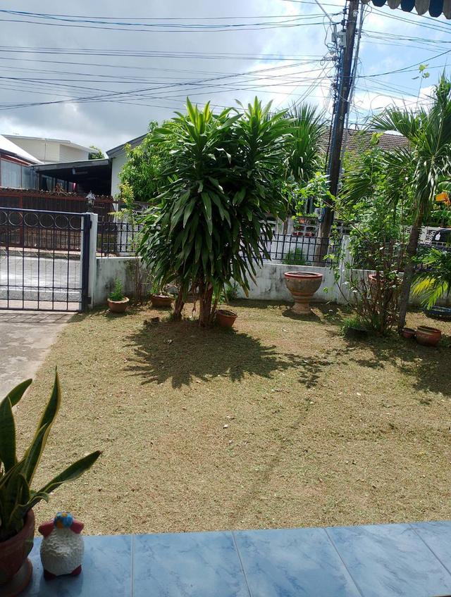 บ้านพร้อมที่ดิน 2
