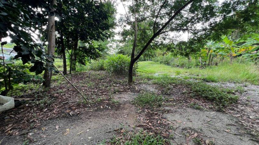 ขายที่ดิน ทับมา ระยอง แปลงสวย วิวธรรมชาติ ติดคลอง 8-2-93 ไร่ 4