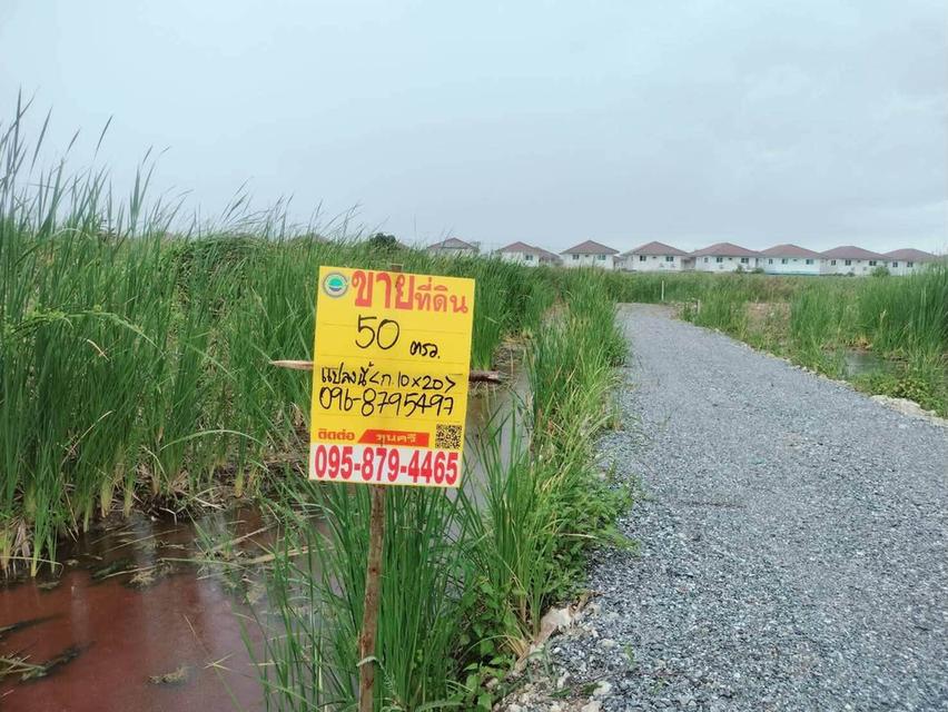 ขายด่วนที่ดินใกล้วัดบางม่วง 50 ตรว ติดถนนสาธารณะ ต.บางม่วง อ.บางใหญ่ จ.นนทบุรี 1
