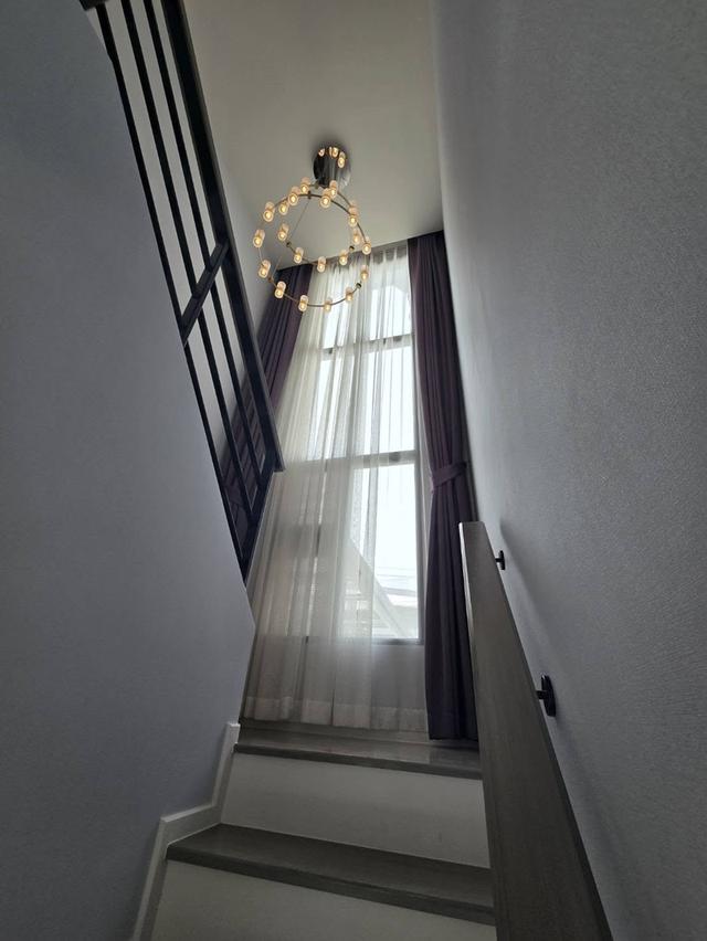 House For Rent Grande Pleno สุขุมวิท-บางนา 20