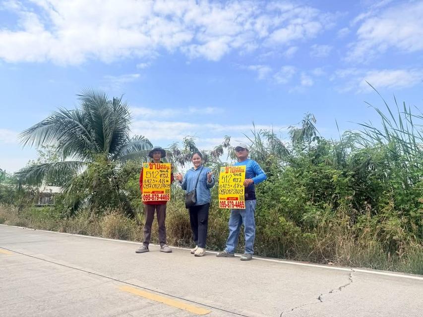 Vายด่วนที่ดิน 512 ตารางวา ใกล้อนามัยบางหลวง ชอยองุ่น บางหลวง เมืองปทุมธานี 1