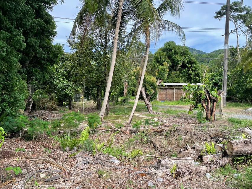 ที่ดิน 8.5 ไร่ ริมถนนสุขุมวิท ต.คลองนารายณ์ อ.เมือง จ.จันทบุรี 15