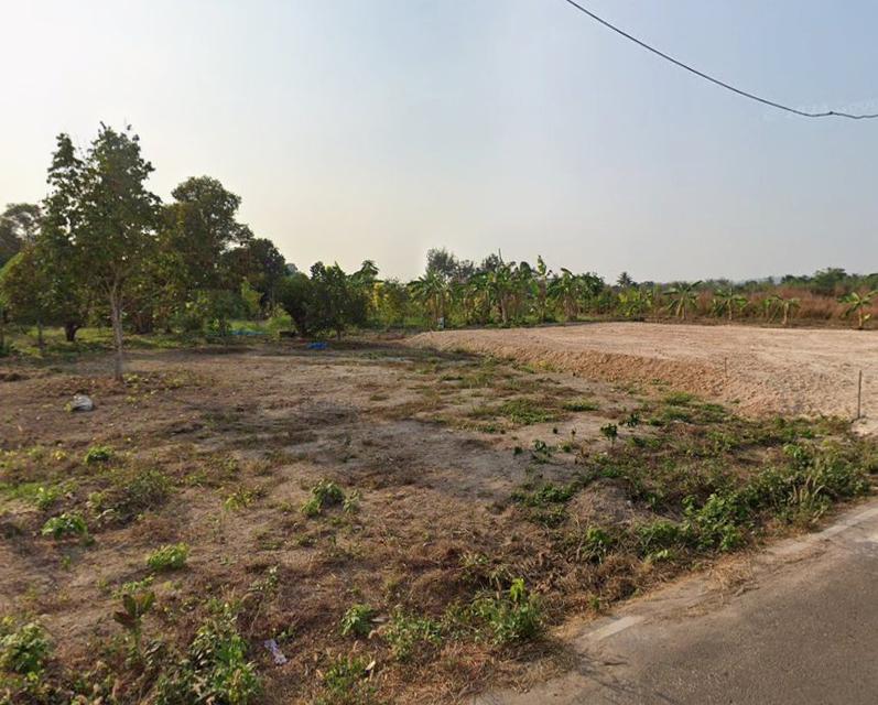 ขายที่ดินบ้านพระพร้อมสวนผลไม้เนื้อที่ 2 ไร่ ใกล้ถนนสุวรรณศรเส้นตัดใหม่33-2.5กม. อ.เมืองปราจีนบุรี 4