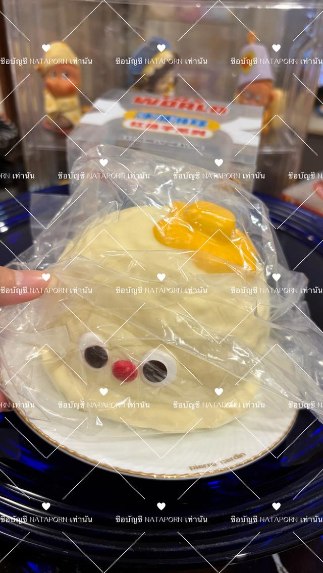สกุชชี่จ MIDO zoey HACHIMI LEILEI