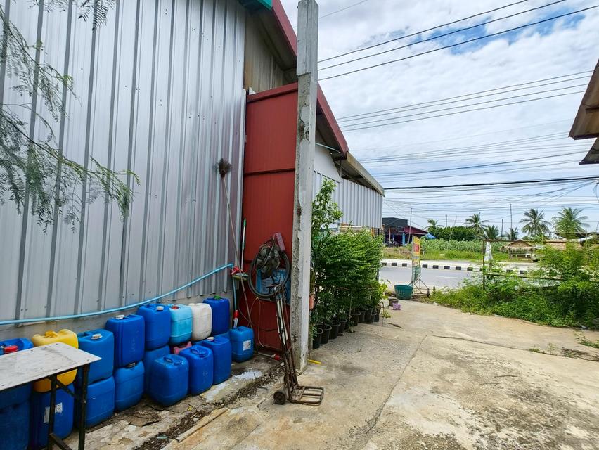 ขายด่วน-ที่ดินติด ถ.นครชัยศรี ใกล้มอเตอร์เวย์ถึง 2 สาย (เจ้าของขายเอง) 7