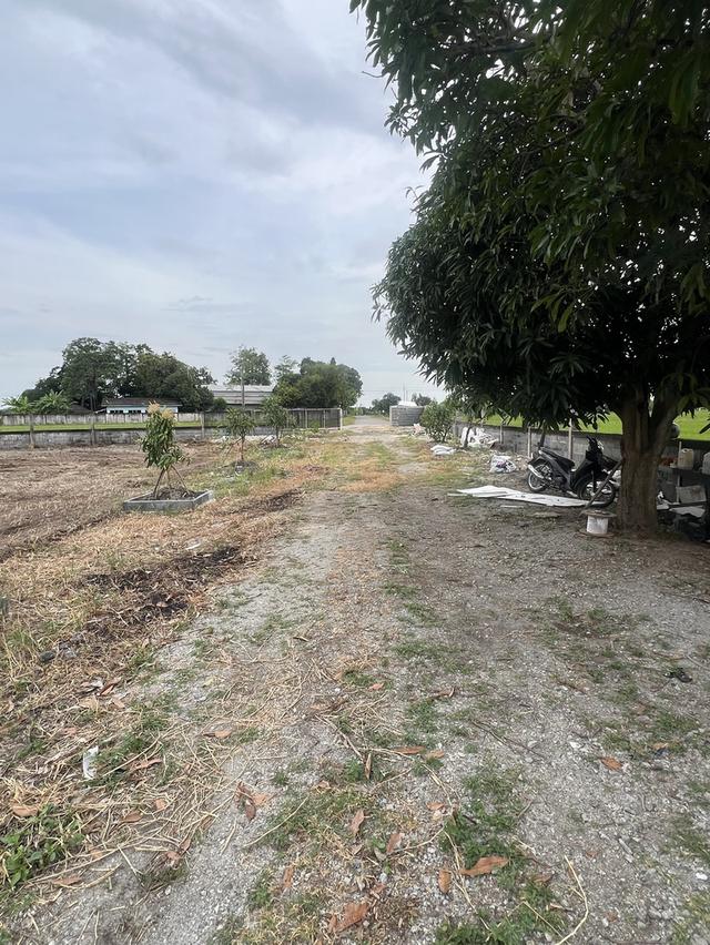 ที่ดินหนองจอก-บางน้ำเปรี้ยว 11