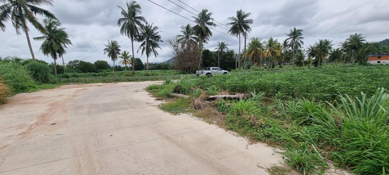 ขายที่ดิน