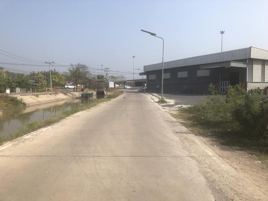 ที่ดิน คลองสาม คลองหลวง เนื้อที่ 50 ตารางวา 4