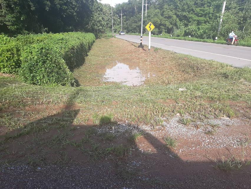 ขายที่ดินแปลงใหญ่ 148 ไร่ เป็นสวนยางพารา ที่มีโฉนด 8