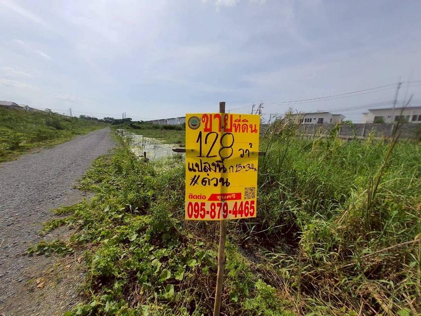 ขายด่วนที่ดินซอยวัดคลองตาคล้าย 128 ตรว ติดถนนสาธารณะ อ.ไทรน้อย จ.นนทบุรี 2