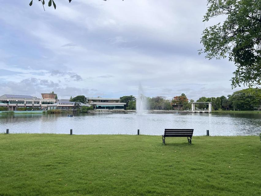 ให้เช่าบ้านเดี่ยว 2ชั้น หมู่บ้านเพอร์เฟคเพลส สุขุมวิท77 - สุวรรณภูมิ เพิ่งรีโนเวทเสร็จ พร้อมเข้าอยู่ 18