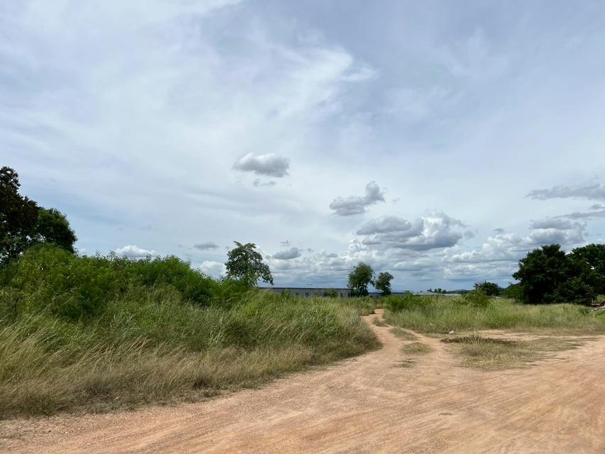 ขายที่ดินปลวกแดง - ติดถนนใหญ่ ( ถนน 4 เลน ) ระยอง 2
