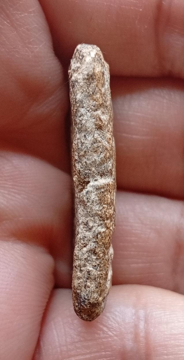 พระสมเด็จวัดระฆังพิมพ์ใหญ่ รูปที่ 8