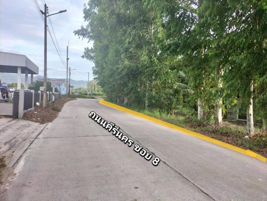 ขายที่ดินเปล่า 11 ไร่เศษ ริมถนนคีรีนครซอย 8 เมืองชลบุรี 2