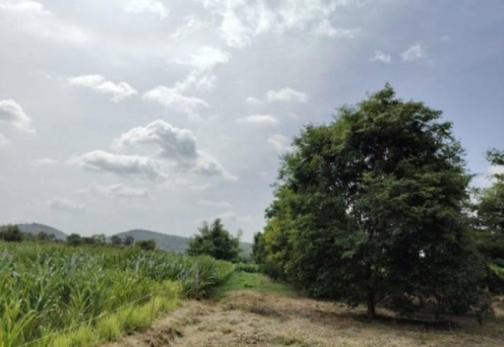 ขายบ้านพร้อมที่ดิน อำเภอเลาขวัญ กาญจนบุรี บรรยากาศดี ติดถนนสาธารณะ 2 ด้าน  น้ำไฟพร้อม 6