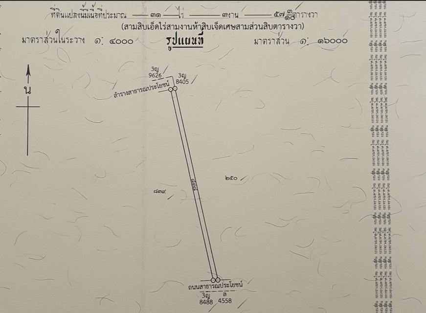 ขายที่ดิน 31 ไร่ นครนายก อำเภอองครักษ์ เจ้าของขายเอง 5