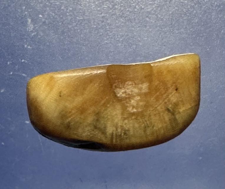 เขาควายเผือกหลวงพ่ออำ่วัดหนองกระบอก พิมพ์พระพุทธ 10