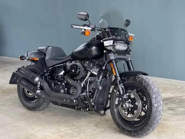 2018 Harley-Davidson Fat Bob 2