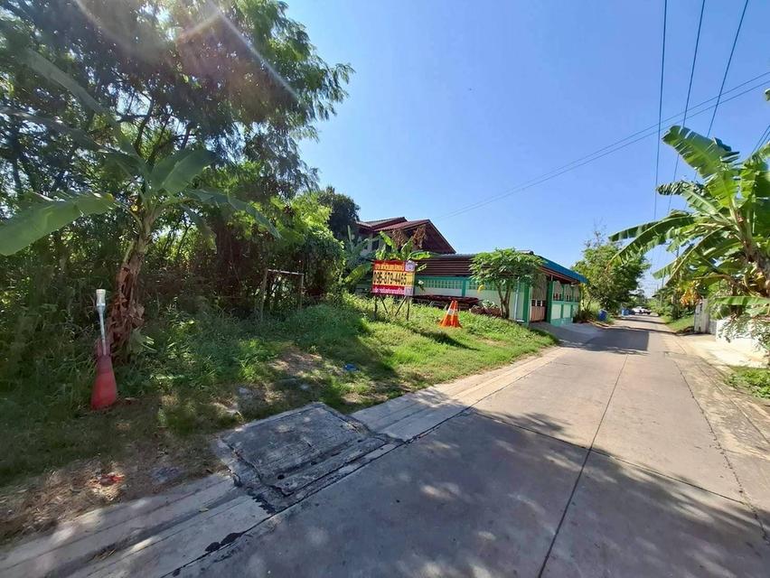 Vายถูกที่ดินซอยตองเปอะ 75 ตารางวา  ติดถนนน 2 ด้าน ถมแล้ว เทศบาล 3/2 อ.สามโคก จ.ปทุมธานี 10