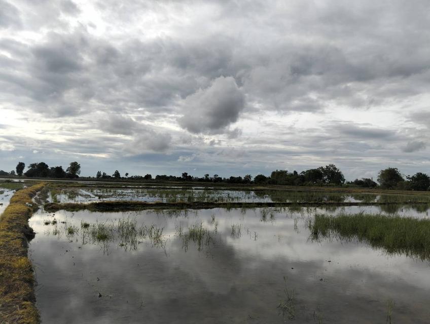 ขายที่ดิน 3 แปลง จังหวัดชัยนาท 19