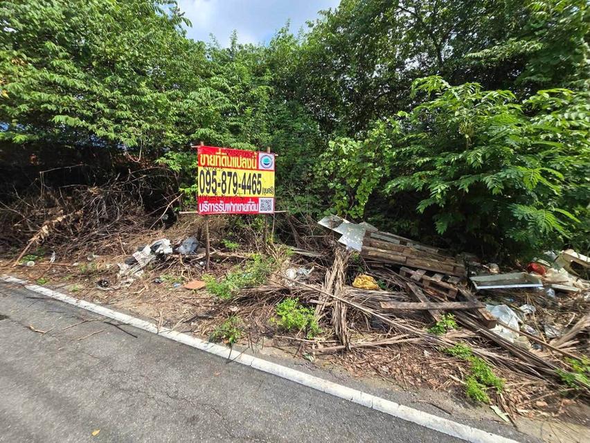 ขายด่วนที่ดินใกล้ศูนย์กระจายสินค้าโลตัส 100 ตรว ติดถนนลาดยางสาธารณะ ต.ลำโพ อ.บางบัวทอง จ.นนทบุรี 2