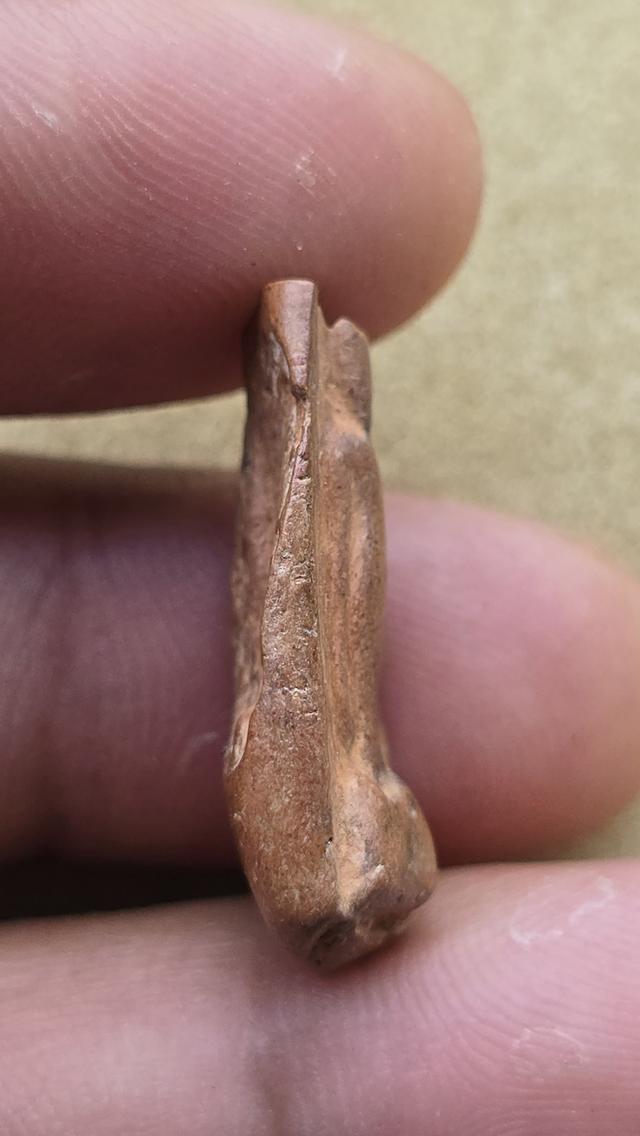 พระกำแพงยืนตอ กำแพงเพชร 3