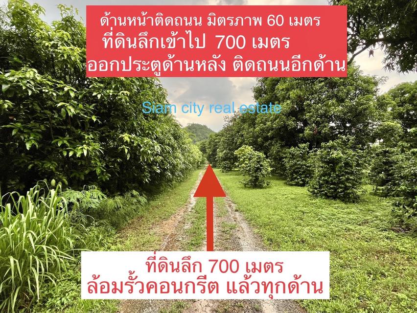 ขายที่ดิน พร้อมสิ่งปลูกสร้าง เป็นสำนักงาน และโกดังสินค้า พร้อมบ้านพักพนักงาน อ.ปากช่อง จ.นครราชสีมา  ครบ จบ ในที่เดียว 2