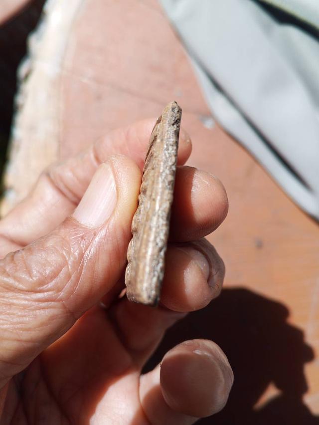 พระสมเด็จวัดระฆังพิมพ์ใหญ่ 3