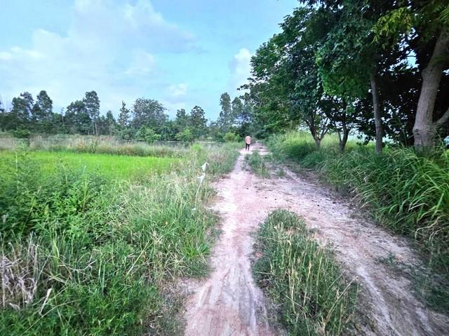 ขายที่ดินมาบไผ่บ้านบึงราคาถูก พื้นที่สีเหลือง จำนวน 8 ไร่ 2 งาน 5