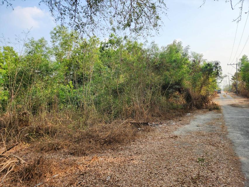 ขายที่ดินคลอง 10 หนองเสือ ราคาตํ่ากว่าราคาประเมิน เจ้าของขายเองครับ 4