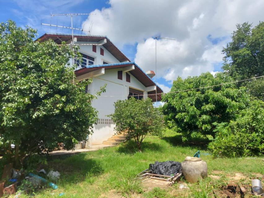 ที่ดินปากช่องพร้อมบ้าน 2.5 ไร่ ในตัวเมืองปากช่อง ถนนเทศบาล 5 หลังโรงพยาบาลปากช่อง ทางไปบ้านไร่ทอสี โรงเรียนปัญญาประทีป ทำกิจการร้านอาหารค้าขายได้ 3