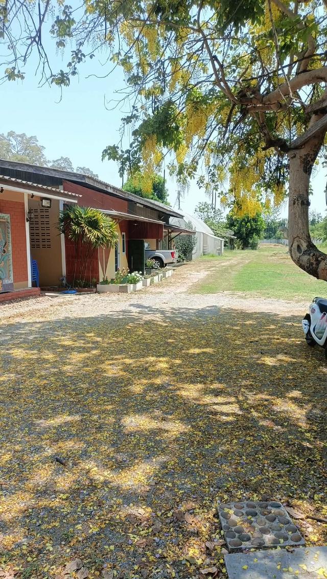 บ้านพร้อมที่ดิน อ.บ้านโป่ง จ.ราชบุรี 8