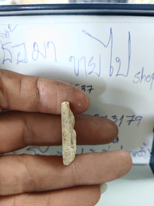 พระอะไรไม่รู้อยู่ที่บ้านครับอยากปล่อย 6