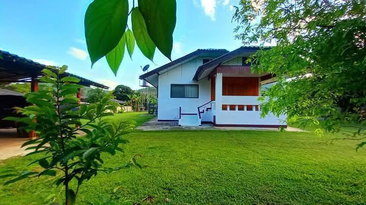 บ้านบนดอยอากาศดีอุณหภูมิต่ำกว่าตัวเมืองเชียงใหม่ 3-5องศาบ้านพักพร้อมอยู่อาศัยบนที่ดิน 1 ไร่ 36 ตรว.ร่มรื่นหลังบ้านติดทั่งนาวิวภูเขาทุ่งนาสวยงามมากๆแน 2