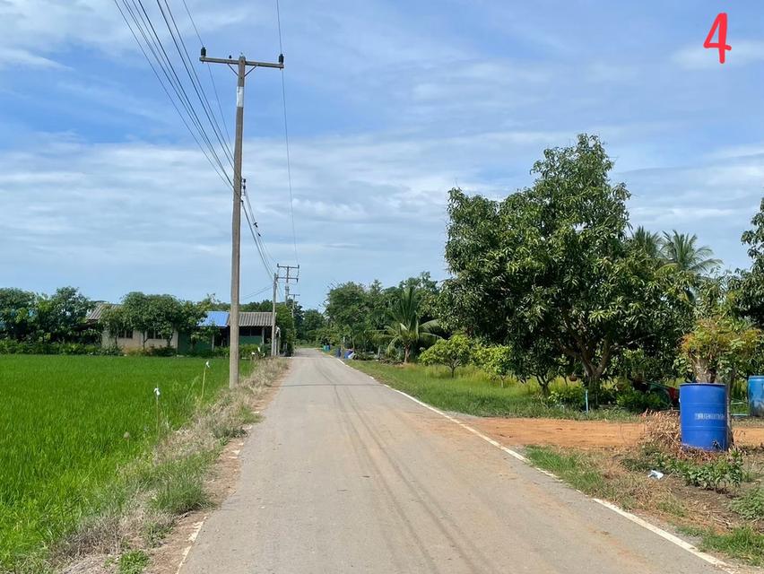 ขายด่วนที่ดินแปลงสวย 10 ไร่ 2