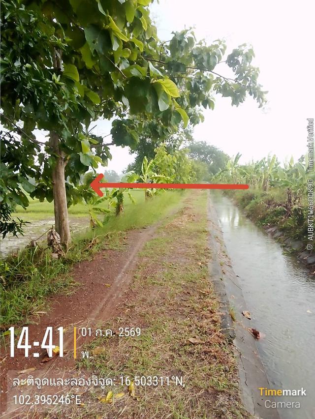 ต้องการขายที่ดิน4ไร่ 4