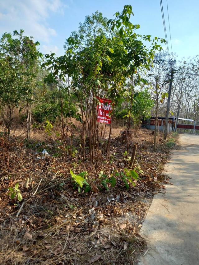 ที่ดินอ.เมืองหวัดสระแก้ว 18