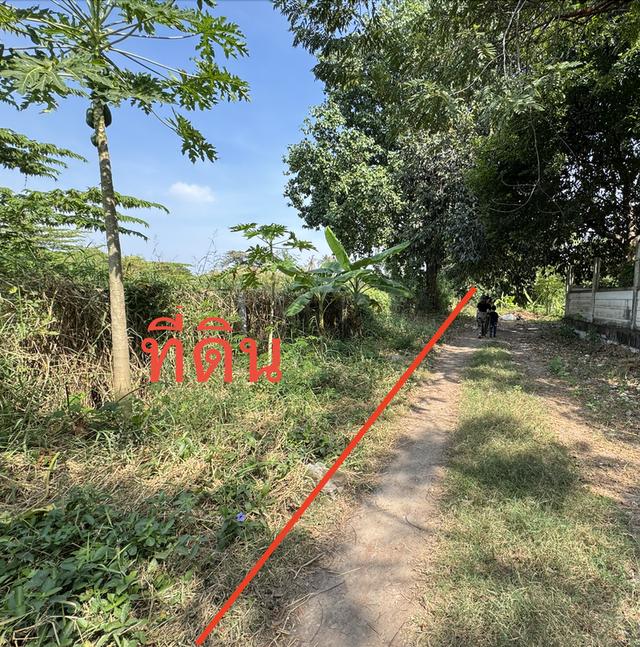 ขายที่ดินเปล่า ถ.พระราม2ซอย25 ใกล้รพ.บางกอก9 รพ.บางมด เซ็นทรัลพระราม2 บิ๊กซี ใกล้ทางด่วน 4