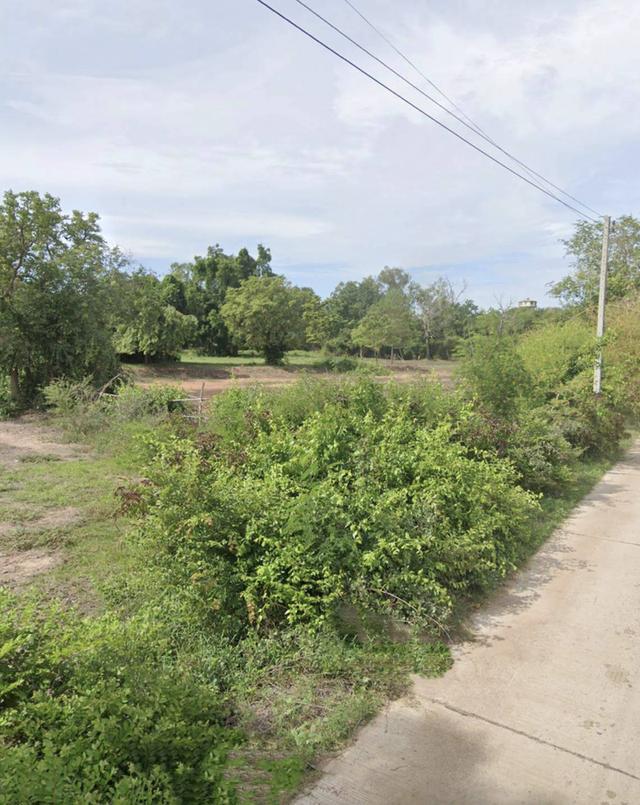 ขายที่ดินตำบลโคกสูงเมืองจังหวัดนครราชสีมา ขนาดที่ดิน11-3-75ไร่โฉนด รูปที่ 2