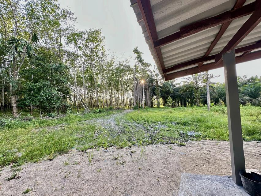 บ้านและสวน เนื้อที่ 1 ไร่ 3 งาน อยู่ใกล้วัดเจดีย์ไอไข่ ต.ฉลอง อ.สิชล จ.นครศรีธรรมราช 14