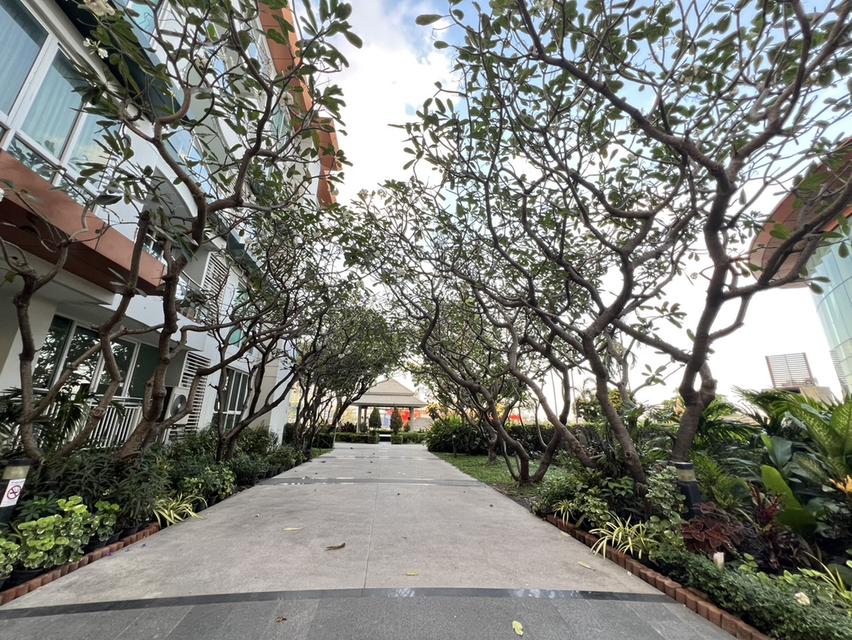 เจ้าของขายเอง ขายคอนโด IVY River 35 ตรม. เพียง 2.25 ล้านบาท รับเอเจ้น คอนโดริมแม่น้ำ ห้องสวยมากก 10