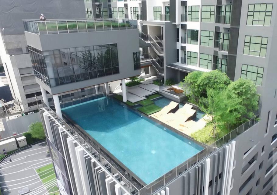 เจ้าของปล่อยเช่า คอนโด Rhythm Asoke 1 ชั้น 33 ห้องสตูดิโอ 22.5 ตรม. วิวสระว่ายน้ำ+เมือง 17