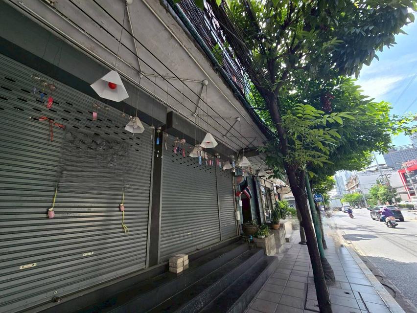 ให้เช่าอาคารพาณิชย์ สุขุมวิท 71 ทำเลดี เหมาะทำธุรกิจ (N.1905) 3