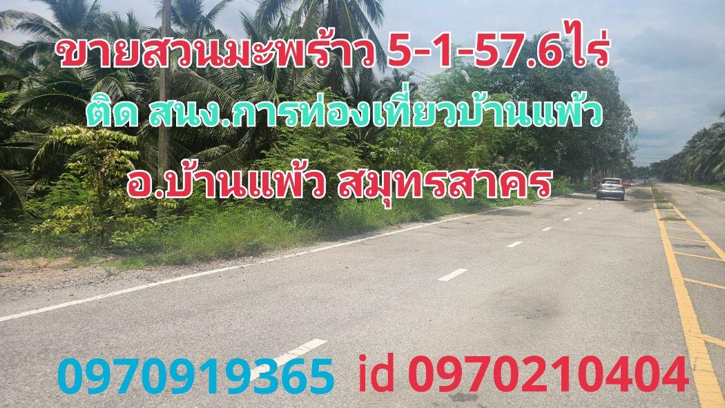 ขาย ที่ดิน สวนมะพร้าวบ้านแพ้ว 5 ไร่ 1 งาน 57.6 ตร.วา ติดสำนักงานการท่องเที่ยวบ้านแพ้ว อ.บ้านแพ้ว 1
