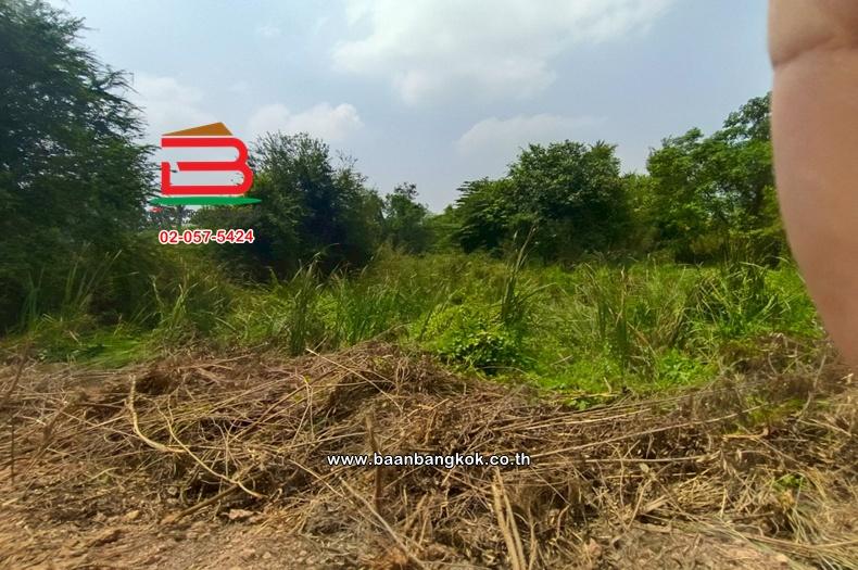 ที่ดินเปล่า เนื้อที่ 4 ไร่ ใกล้ปั้มปตท. ม.12 คูบางหลวง ถนนราชพฤกษ์ ตำบลคูบางหลวง อำเภอลาดหลุมแก้ว จังหวัดปทุมธานี 4