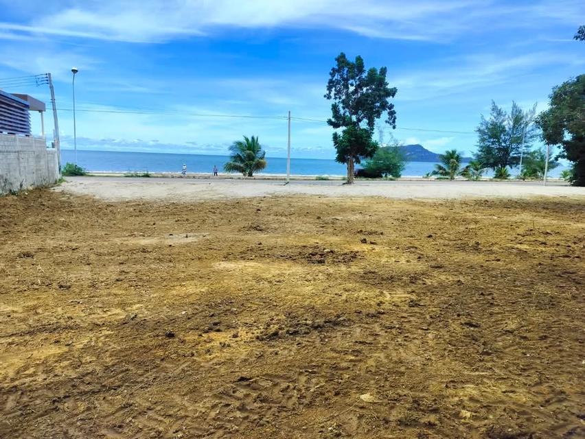 ที่ดินสวยติดทะเล หลังติดภูขา 5