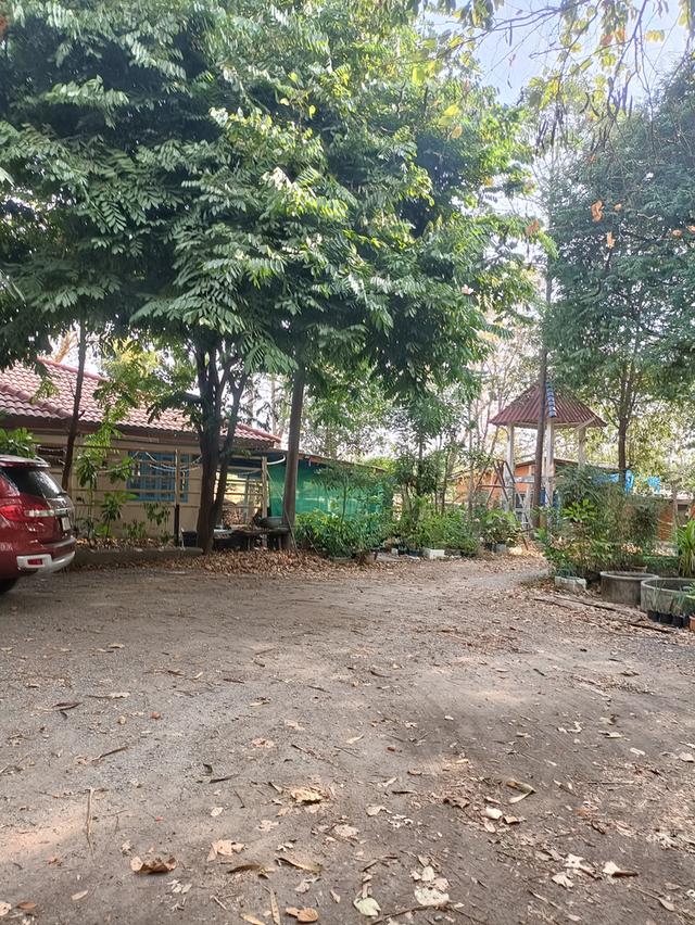 ที่ดิน5 ไร่2 งาน69 ตรว.ฟรีบ้านเดี่ยวชั้นเดียว128 ตรม.1 หลัง 14