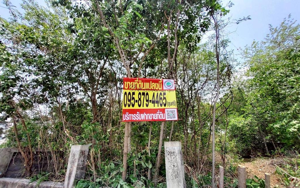 ขายด่วนที่ดินวิวคลอง 95 ตรว ติดถนนสาธารณะ คลองสี่ ซ.สุสวาส ธัญบุรี ปทุมธานี 9