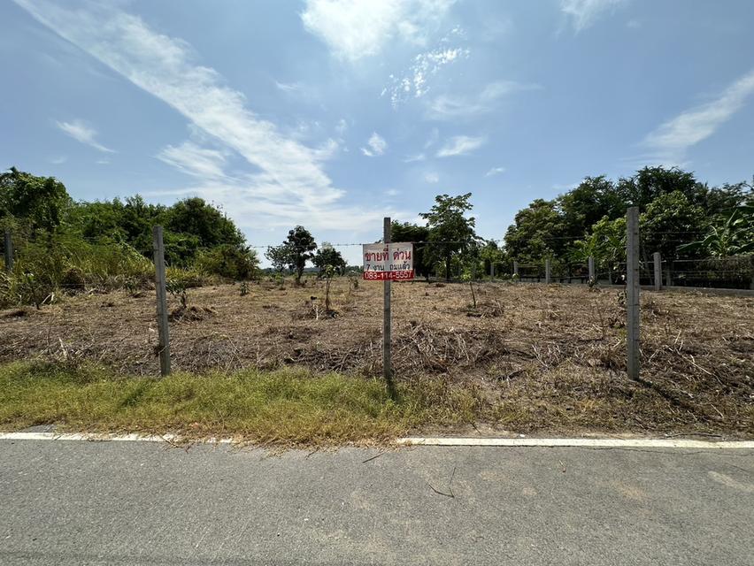 ขายที่ดิน 1 ไร่ 3 งาน ถมแล้ว ที่สวย บรรยากาศดี ร่มรื่น เงียบสงบ  ปลอดภัย ใกล้แหล่งท่องเที่ยว 1